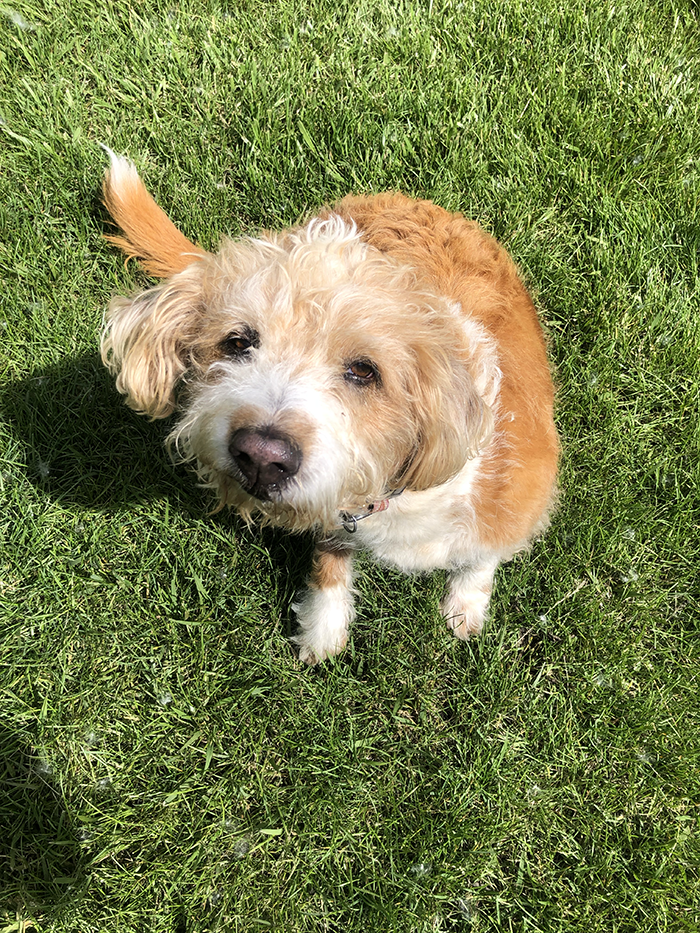 Melody happy to be chilling in the park